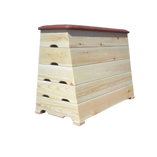 Gymnastics vaulting horse BOXES TP SPORT