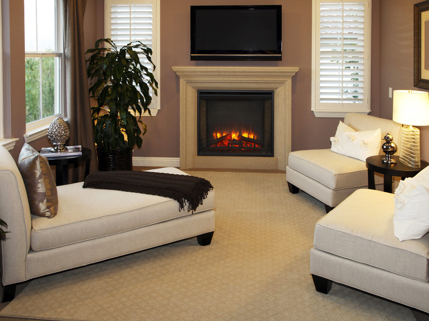 Electric Fireplace Contemporary Traditional Closed Hearth