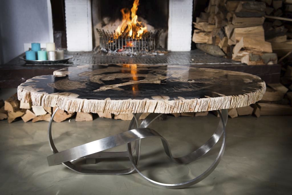 Contemporary Coffee Table Petrified Wood Indosign