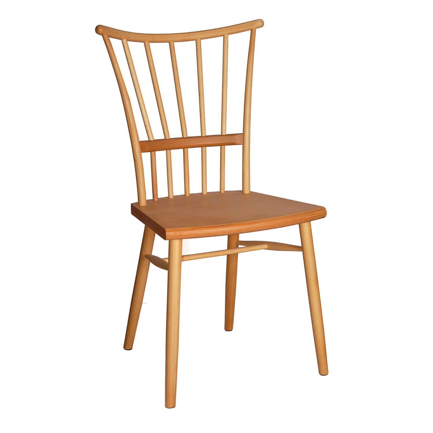 Contemporary chair WILMA A Sedja beech / for hotel / for restaurants