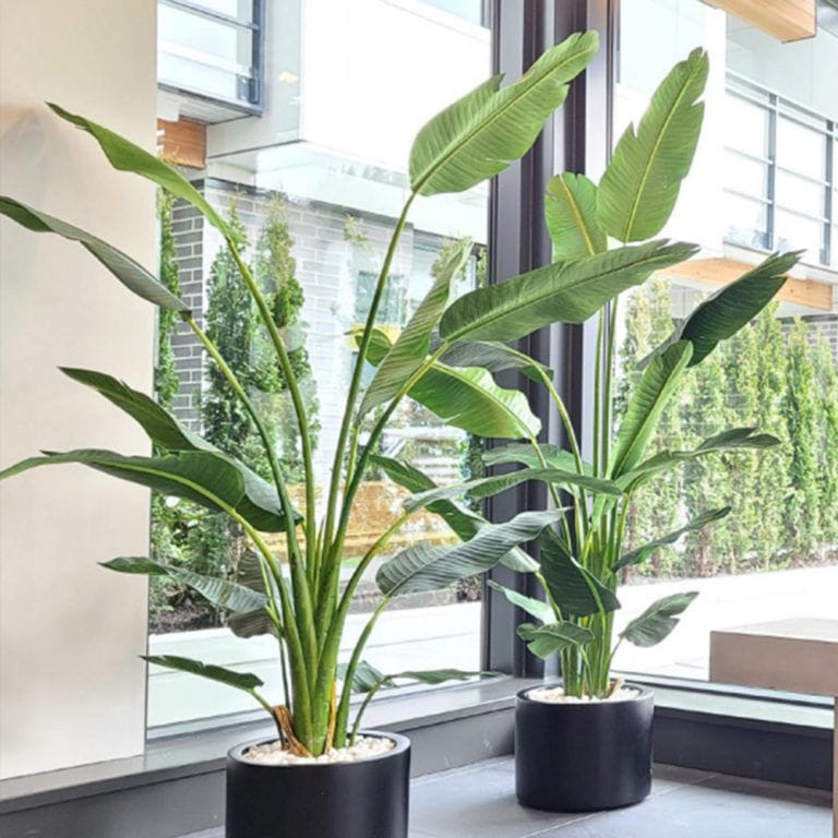 Synthetic ornamental plant - POTTED - BY NATURE - palms / large / indoor