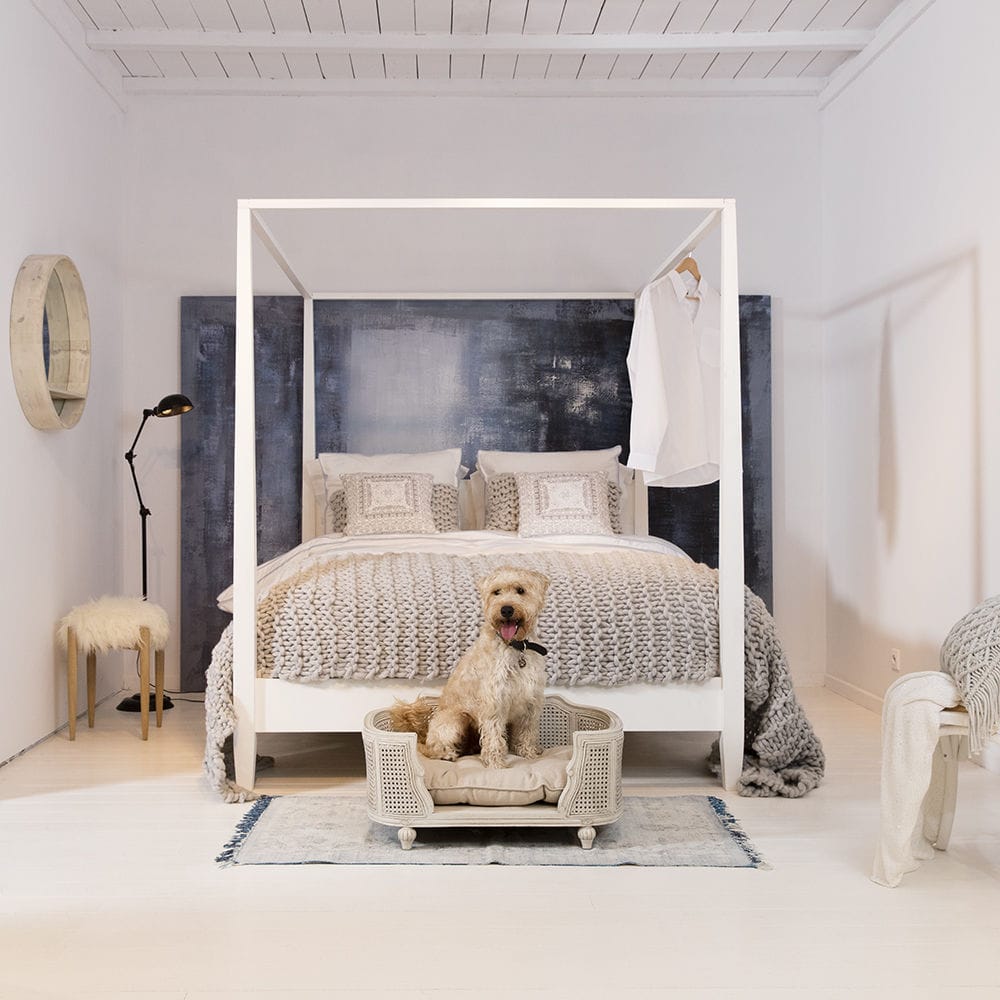 Dog bed - ARTHUR - Lord Lou