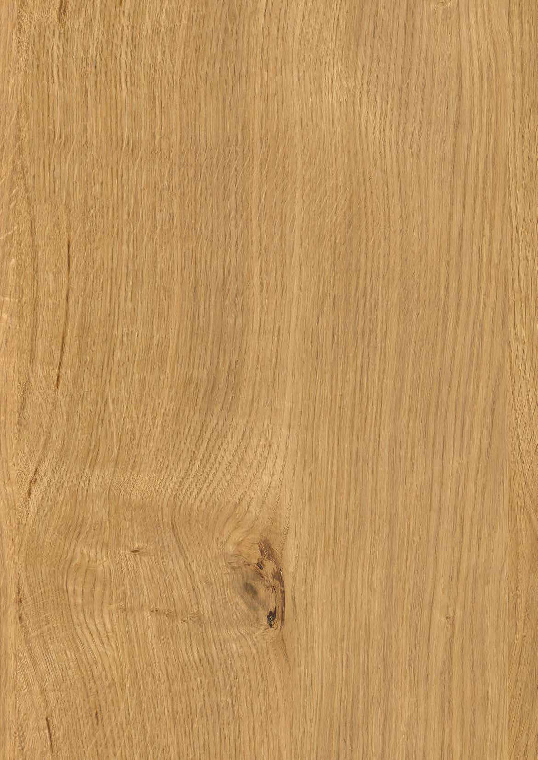 Light Wood Panel