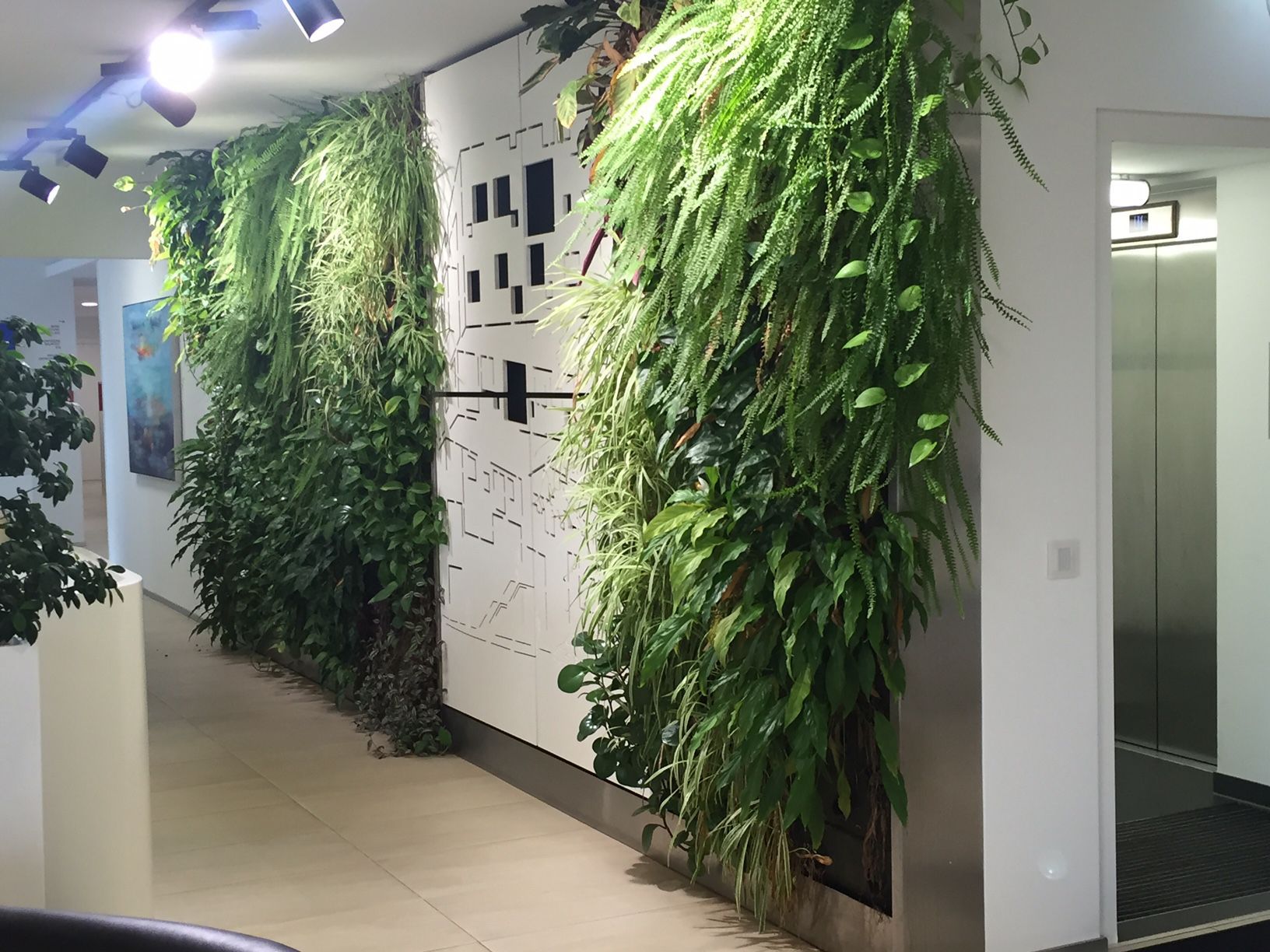 Indoor green wall GREENIN´OFFICE Green Urban Life GmbH
