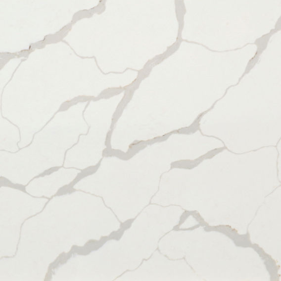 Natural stone countertop NANTUCKET WHALE NW124 Radianz quartz