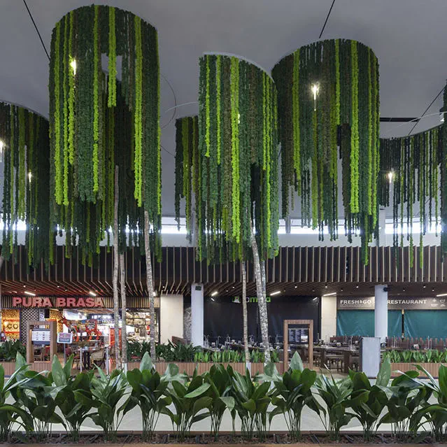 Long Preserved Lichen Lichen Lianas Greenarea For False Ceilings