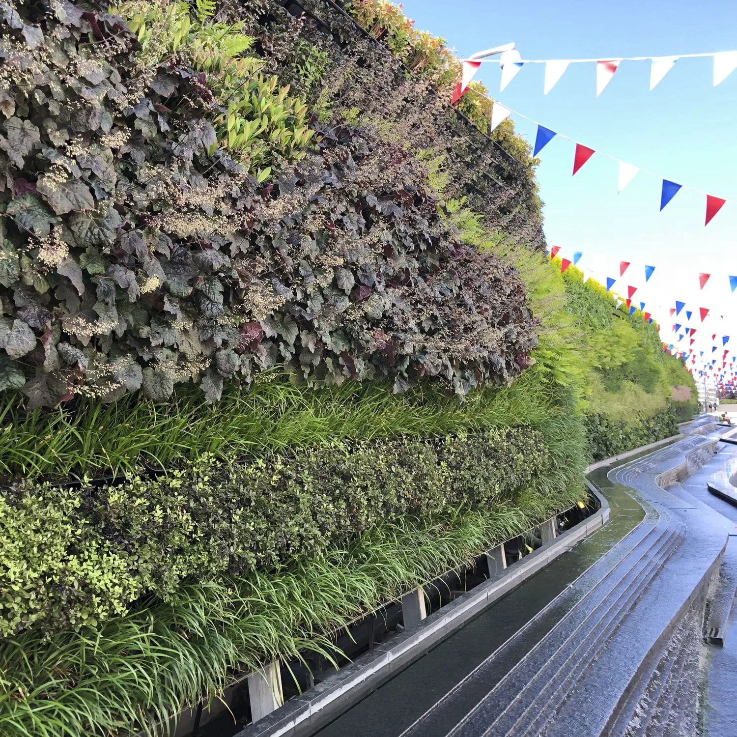 GIRUVI 「Grow on the Wall」Gracilius Green wall with live plants - VERSA WALL® XT™ - GSky Plant Systems