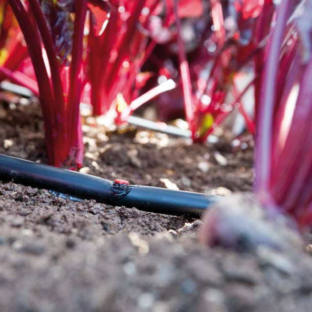 Flowregulated dripper KATIF Rivulis