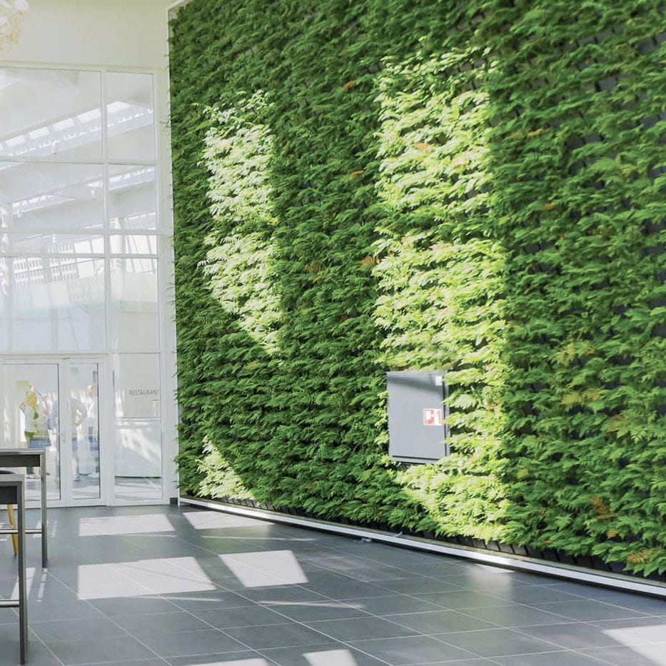 Preserved green wall Natural Greenwalls with live plants / modular