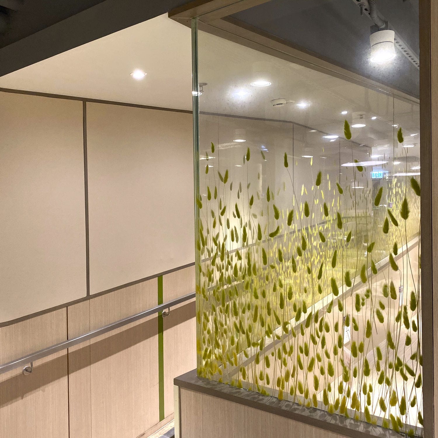 Laminated glass panel R20Y528Y Rahmen (Asia) Limited temperable