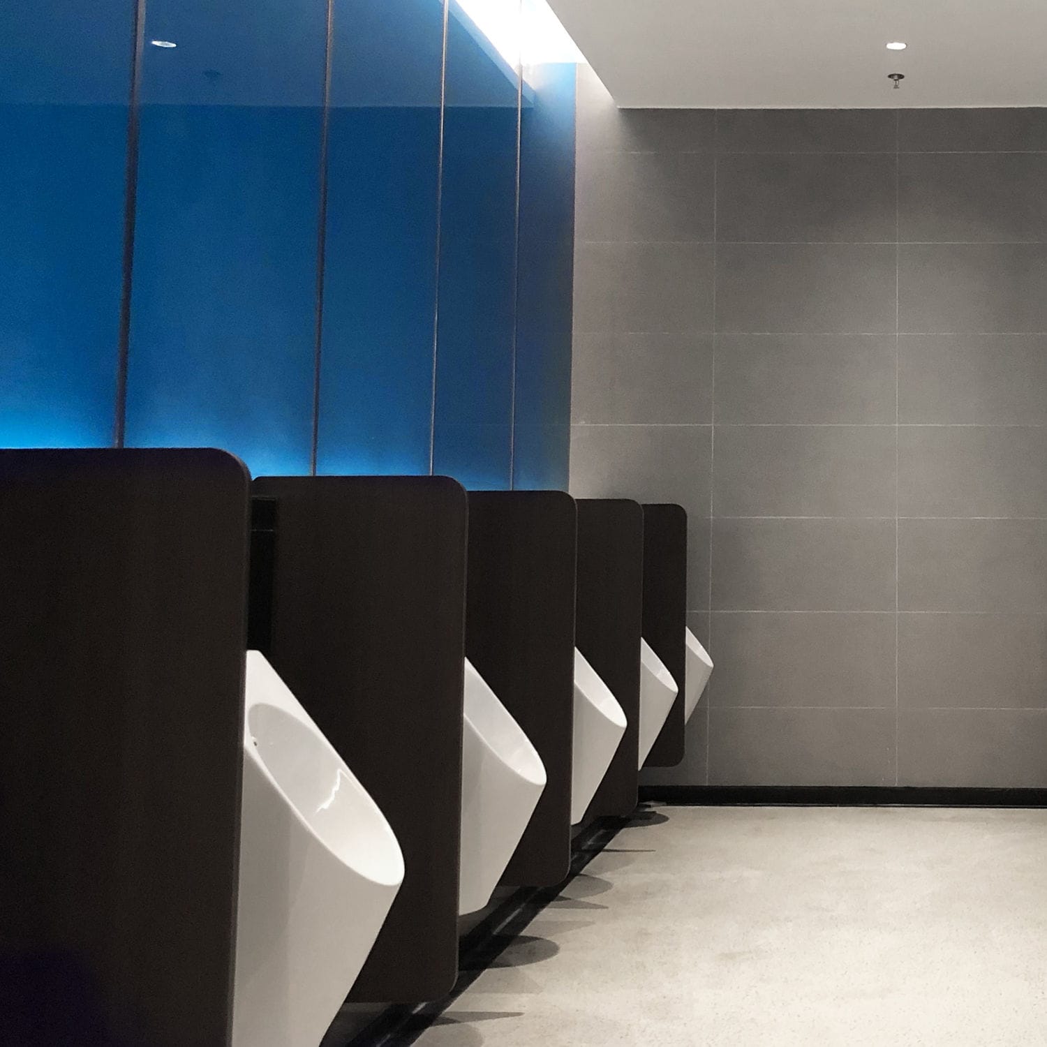 Public washroom urinal partition DEBOTP08 DEBO