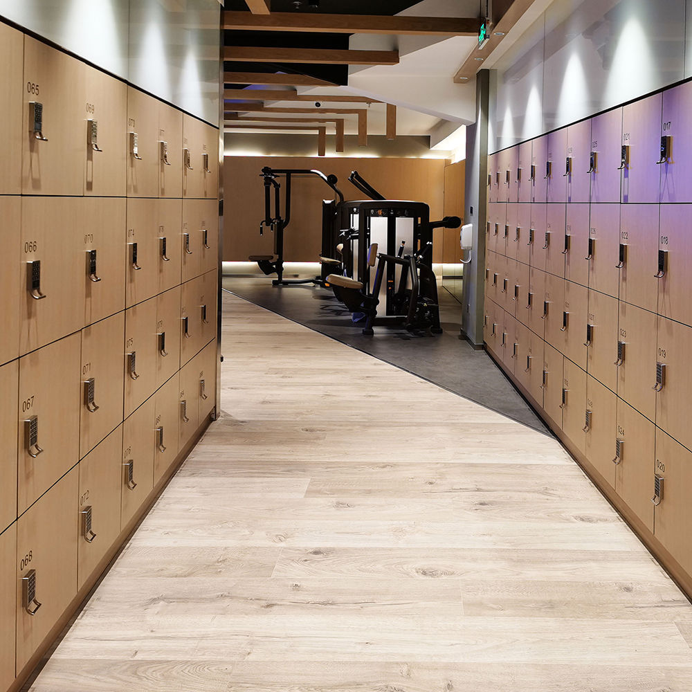 HPL storage locker F12 DEBO key / keyless / commercial