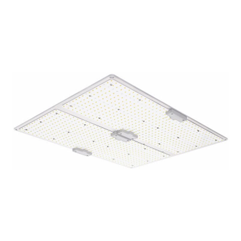 IP65 floodlight LGLBO kindom optoelectronic co.,ltd LED