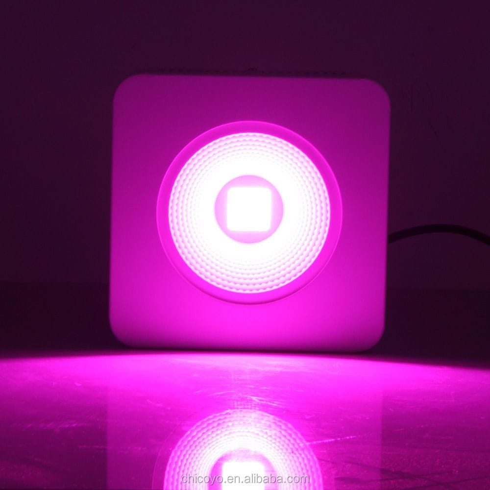 Surfacemounted light fixture KDLGLRECCOB kindom optoelectronic