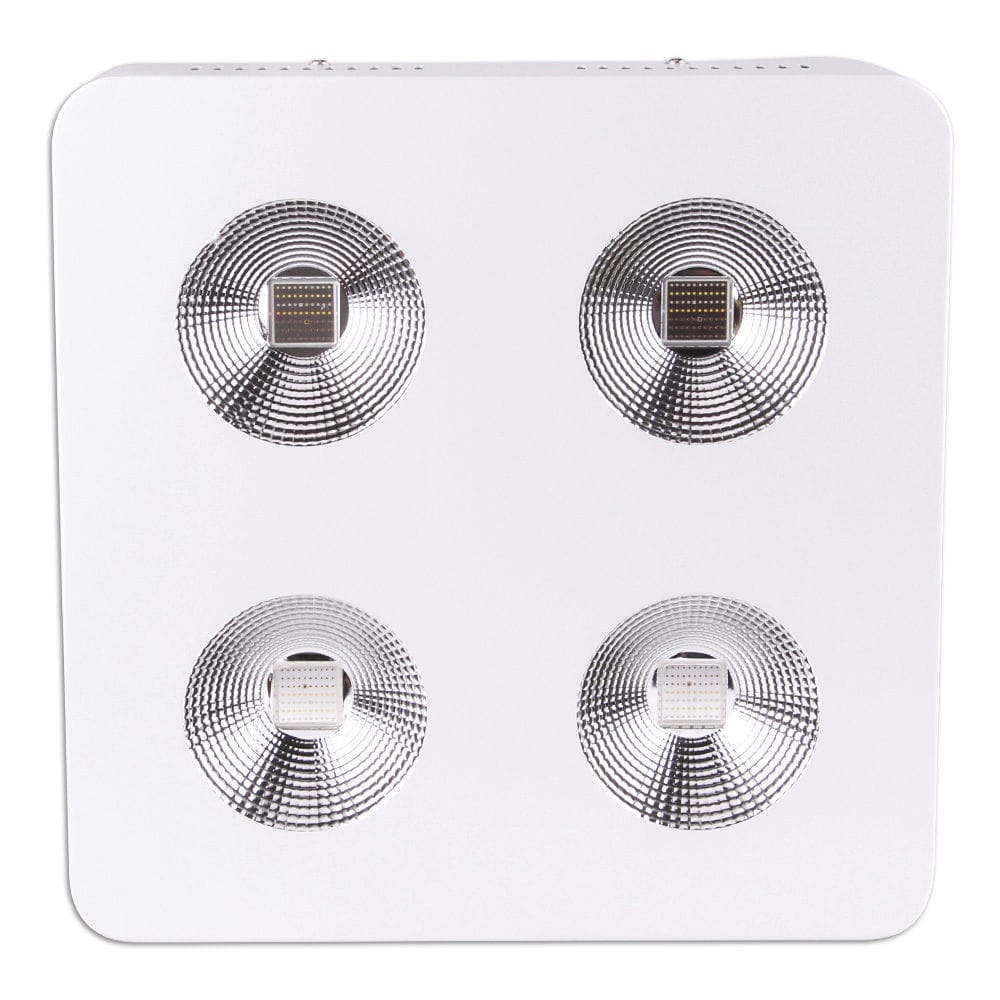 Surfacemounted light fixture KDLGLRECCOB kindom optoelectronic