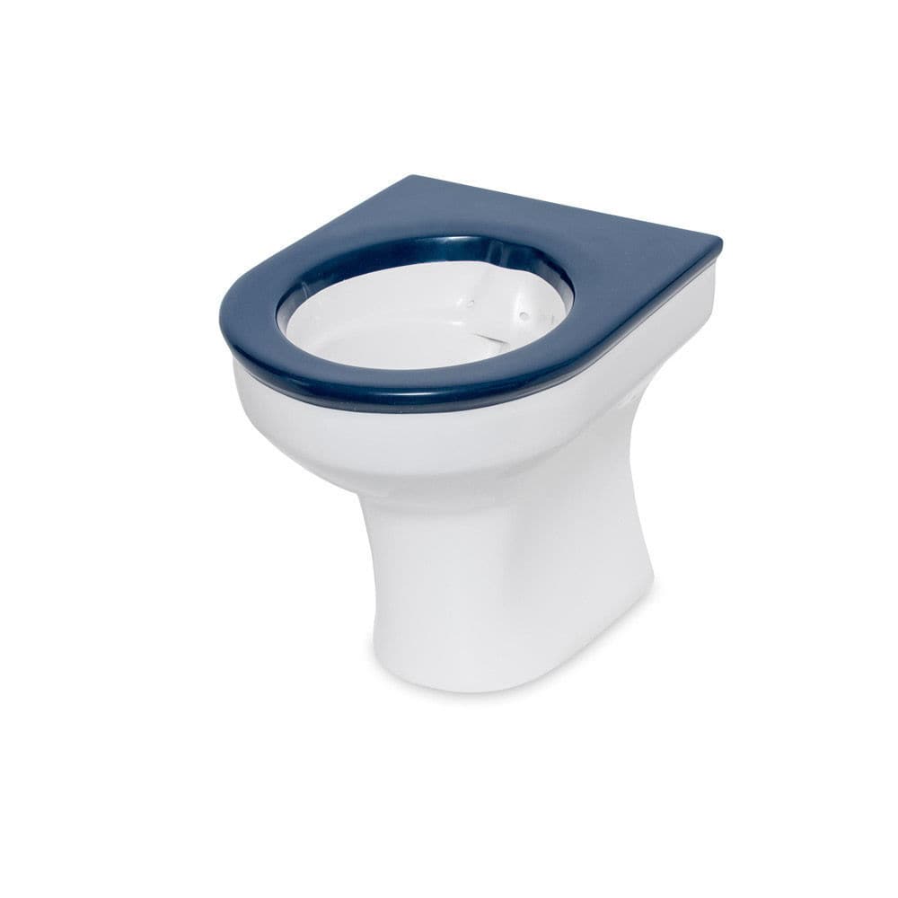 Back to wall toilet CWC251 Wallgate Ltd for handicapped / home