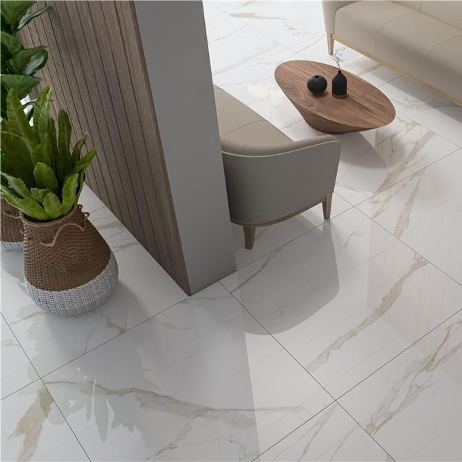Porcelain tile - LEONARDO - Vitacer - polished / high-gloss / indoor