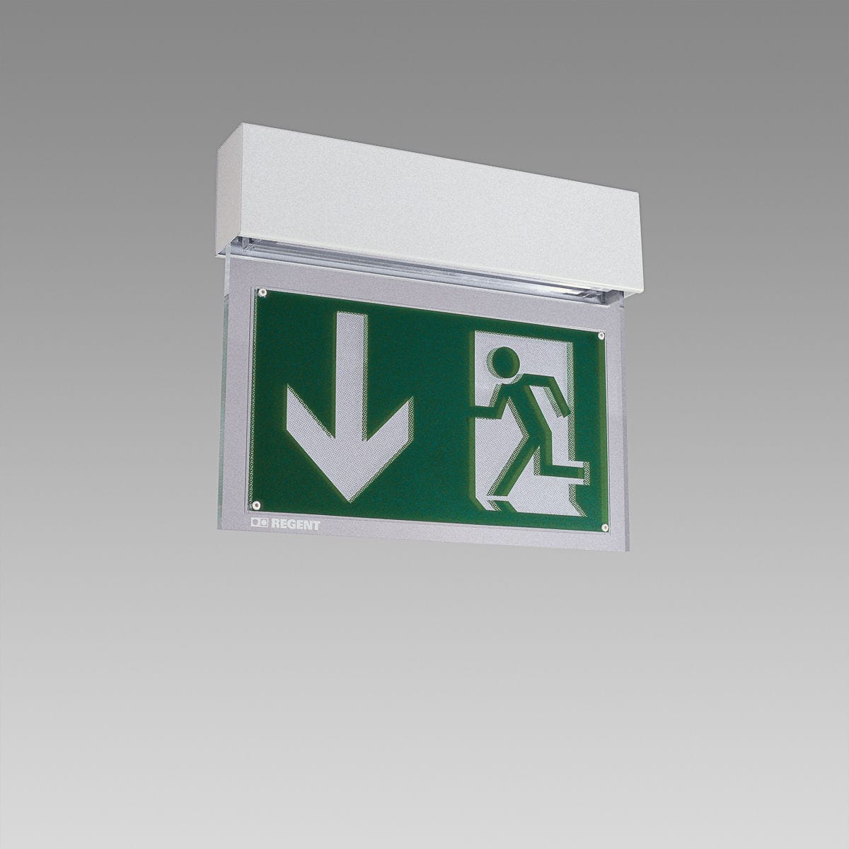 Ceiling emergency light WINDOW SAVE REGENT LIGHTING wallmounted
