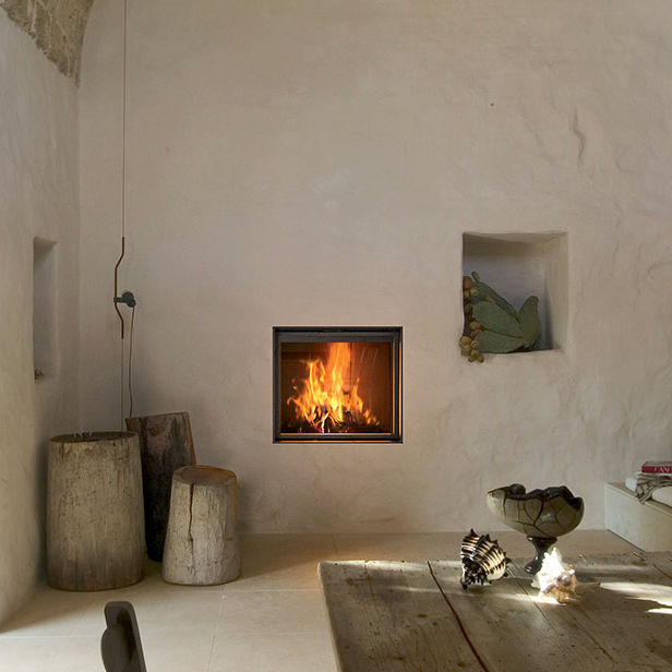 Wood Burning Fireplace Contemporary Closed Hearth Wall