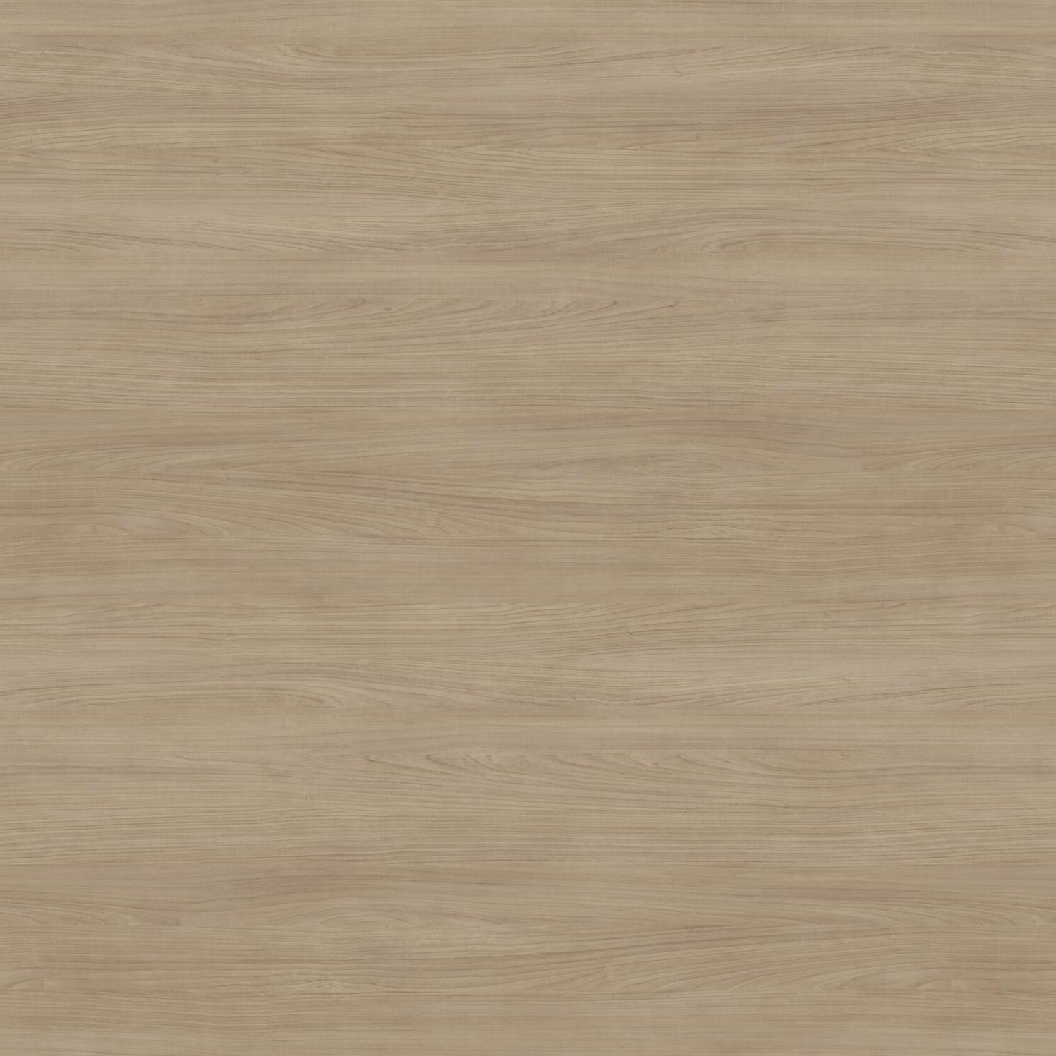 Wood look decorative laminate DAINTREE Wilsonart International