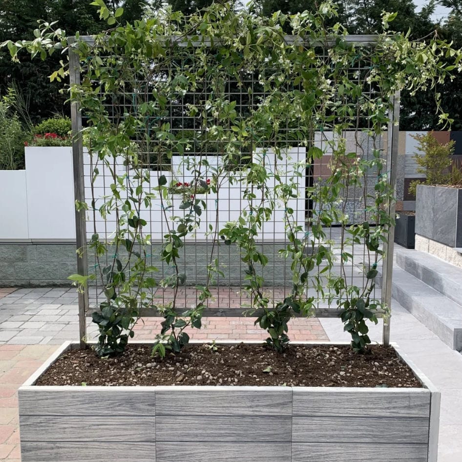 Photo inspiration: Accordion Trellis For Green Walls Reference: Green Wall Trellis Domino Srl