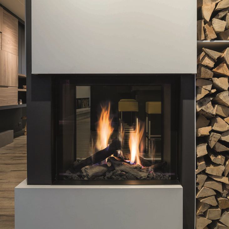 Gas Fireplace Contemporary Closed Hearth Wall Mounted True