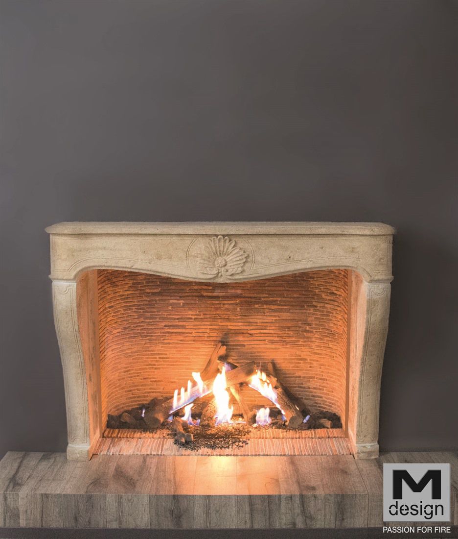Gas Fireplace Contemporary Open Hearth Floor Mounted