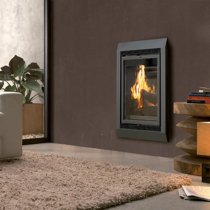 Wood Burning Fireplace Contemporary Closed Hearth Built In