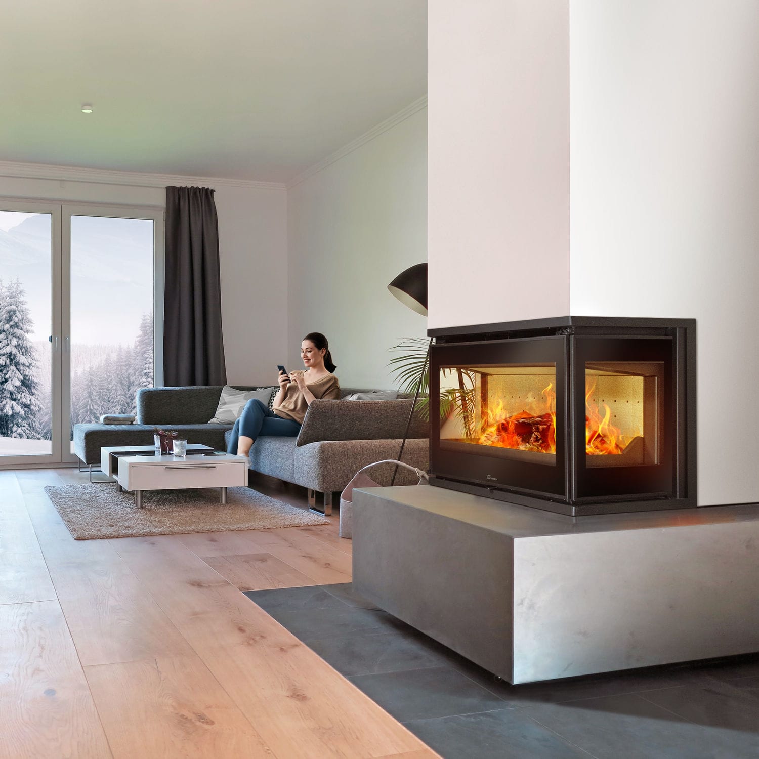 Double Sided Fireplace Insert
