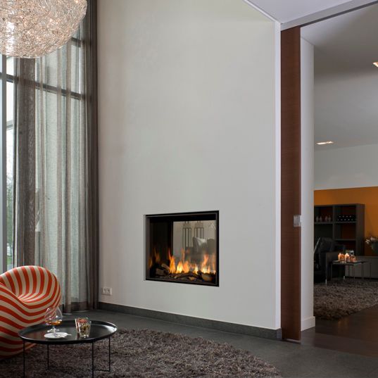 Gas Fireplace Contemporary Closed Hearth Double Sided
