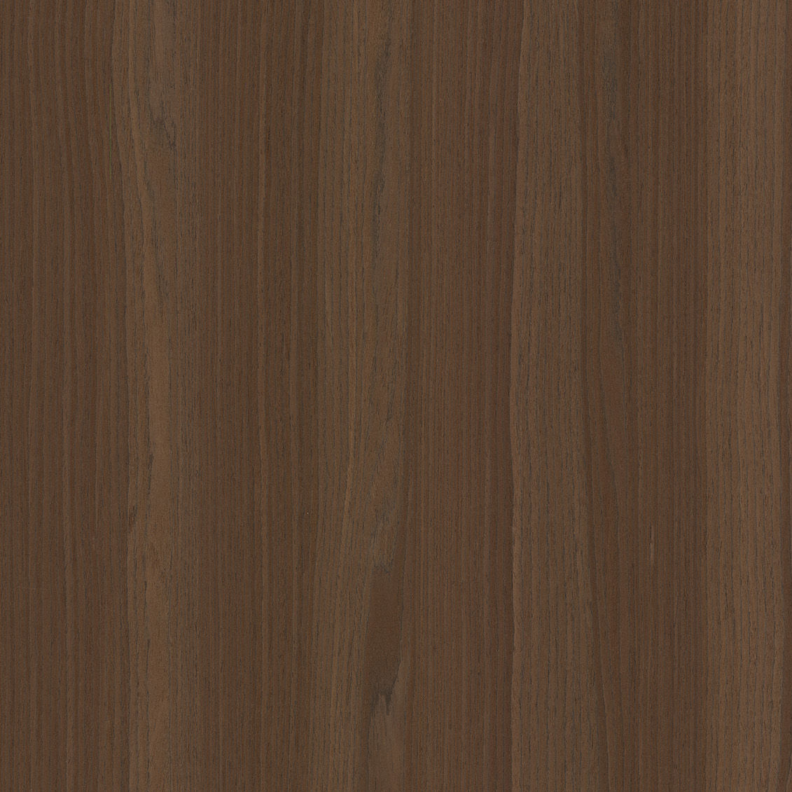 Wallmounted decorative panel MOKA OAK 10.94 ALPI wood / veneered