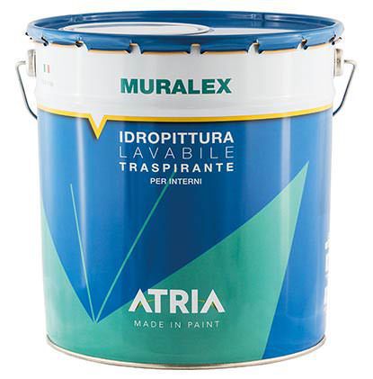 Protective Paint For Walls For Ceilings Bathroom Muralex
