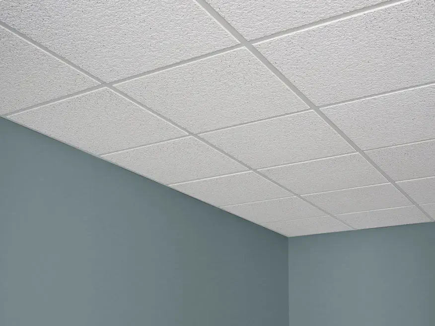 Usg Ceiling Tiles Asbestos Shelly Lighting