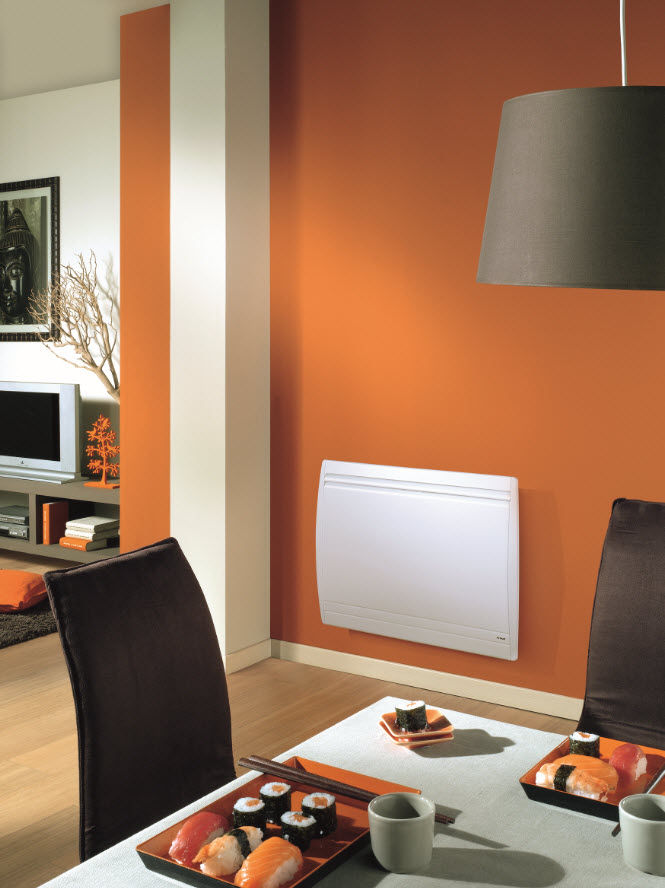 Electric radiator ACTIFONTE PLUS NOIROT inertia / contemporary