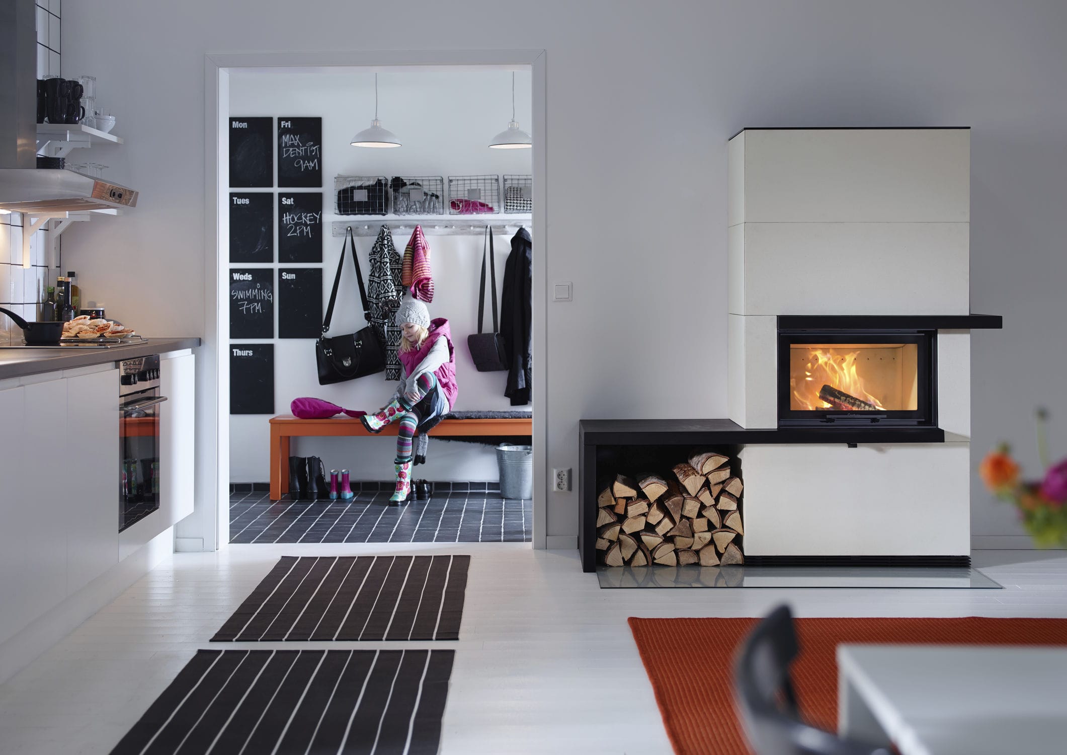 Wood Burning Fireplace Contemporary Closed Hearth Wall