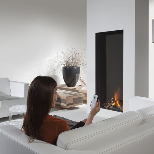 Gas Fireplace Contemporary Closed Hearth Built In Sky