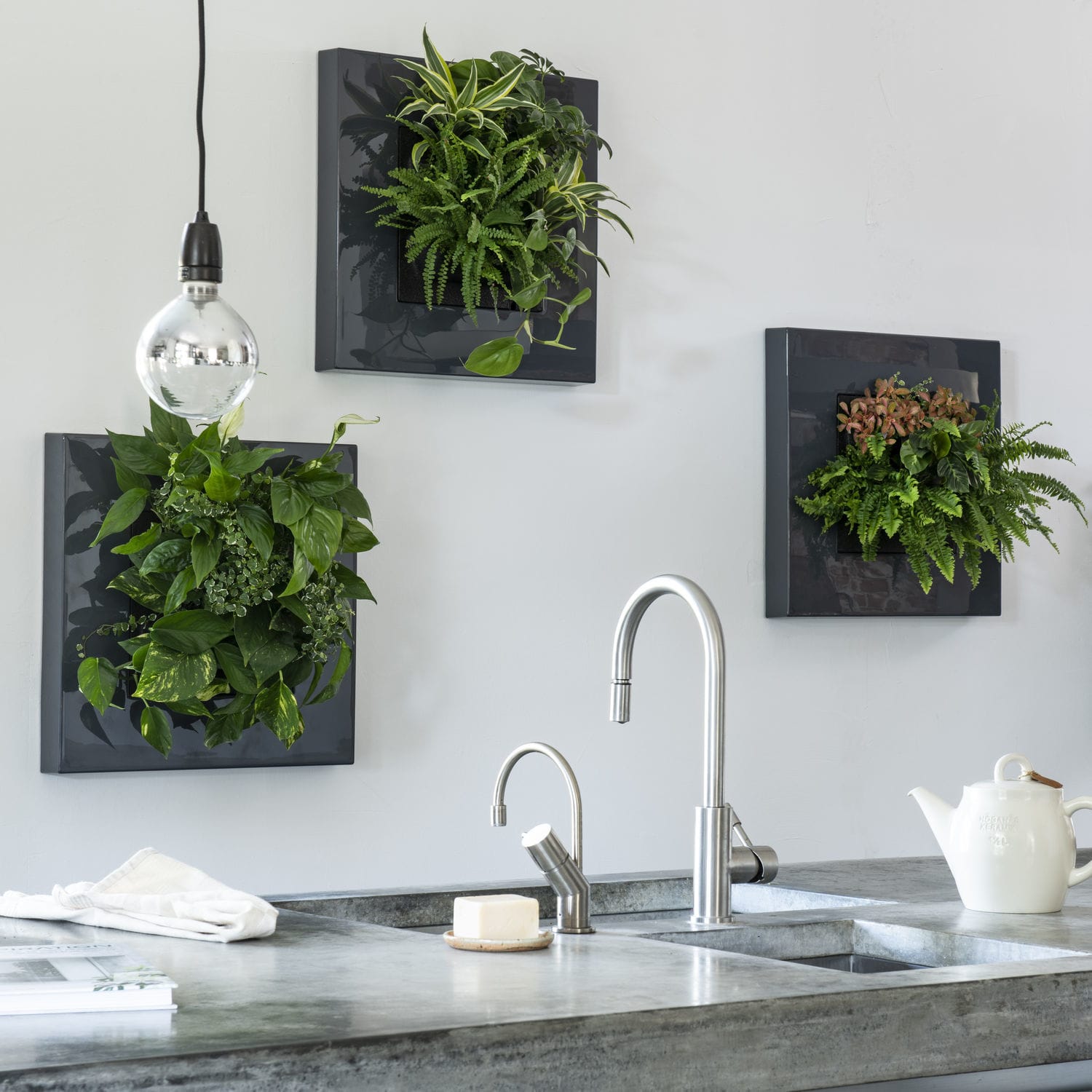 Living frame with live plants LivePicture GO Mobilane natural