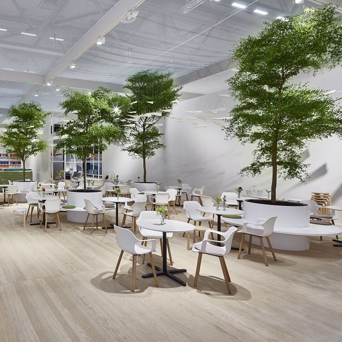 Hotel indoor garden Botanic International