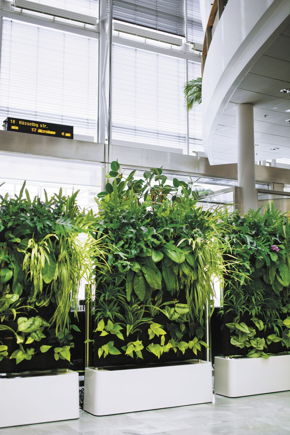 Green wall with live plants - MOVING HEDGE - GREENWORKS SWEDEN