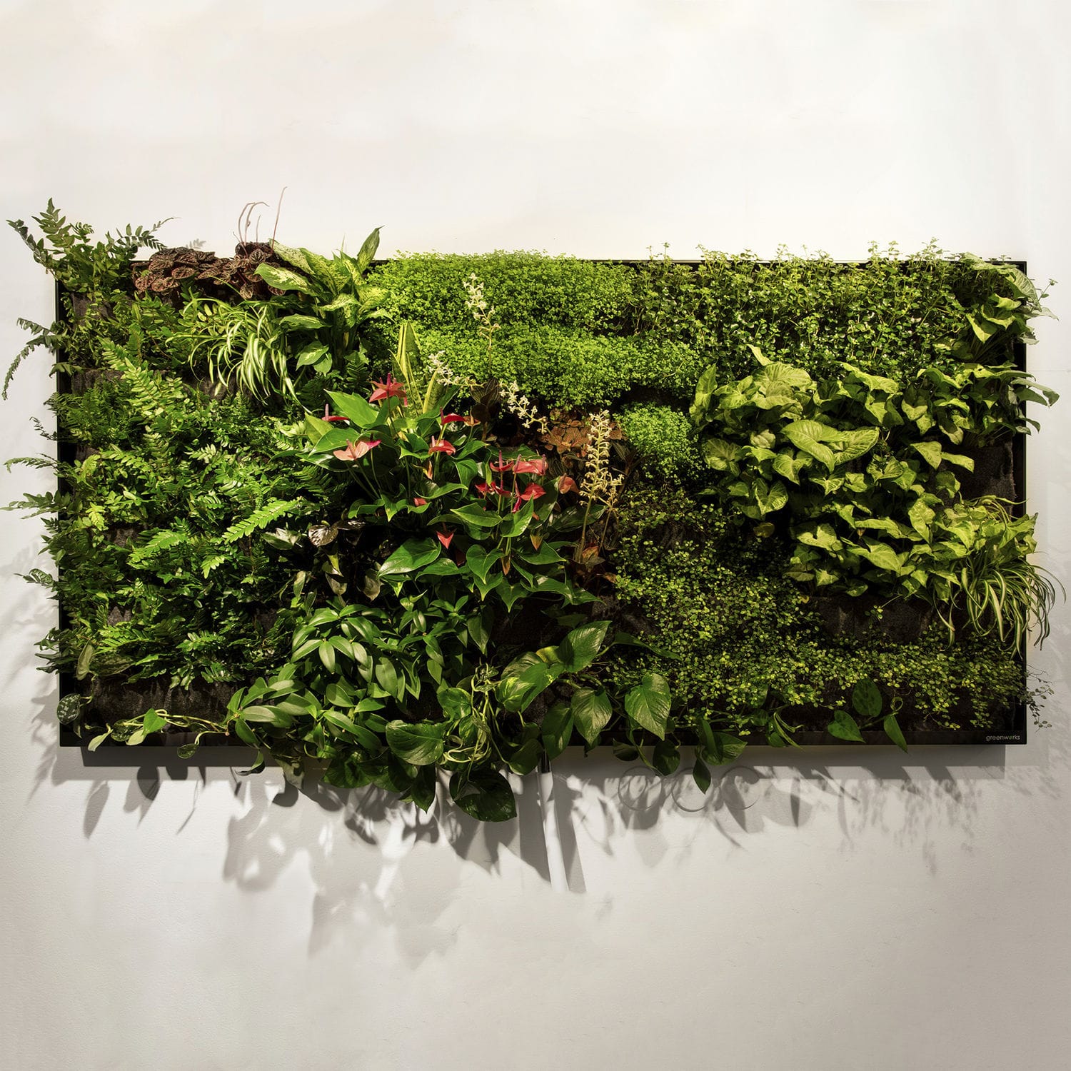 Living frame with live plants - 2M2 - GREENWORKS SWEDEN - natural ...