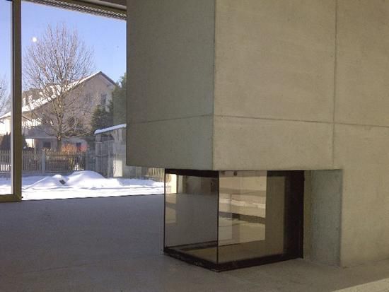 Wood Burning Fireplace Contemporary Closed Hearth 3 Sided