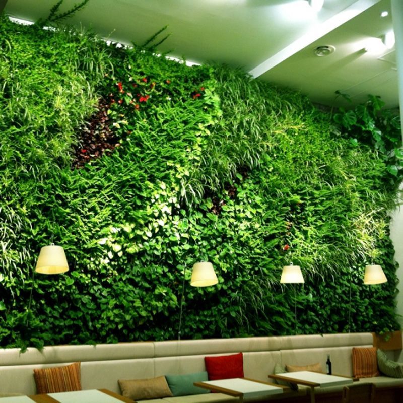 Green wall with live plants - RESTAURANT IN MADRID - Paisajismo Urbano ...