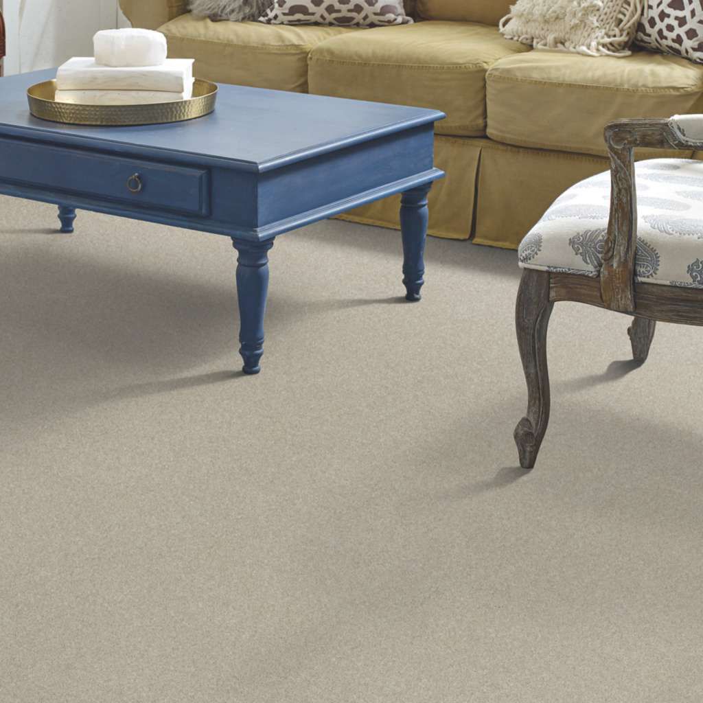 Tufted carpet SIMPLY THE BEST VALUES MONTAGE I Shaw floors cut