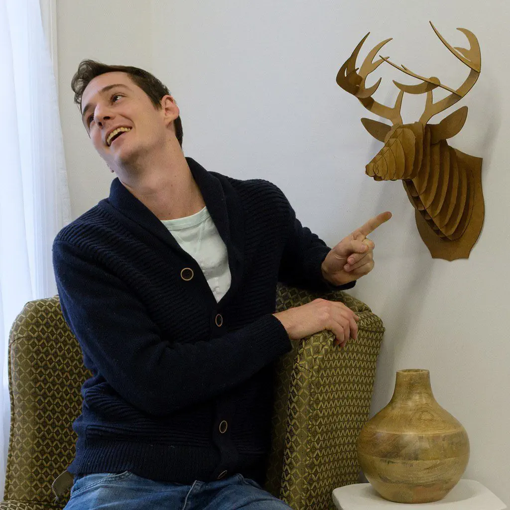 Cardboard sculpture - BUCKY DEER HEAD - cardboard safari - wall