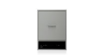 Electric fryer / countertop