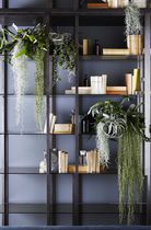 Contemporary shelf / wooden / metal / glass