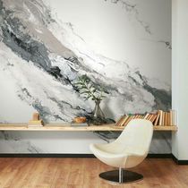 Vinyl wall-covering / pre-painted / wallpaper...