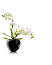 Plastic garden pot