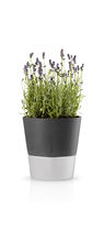 Glass garden pot