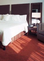 Tufted carpet / wool / polyamide / tertiary